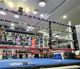 The White Collar Boxing Club photo