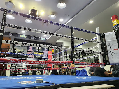 THE WHITE COLLAR BOXING CLUB