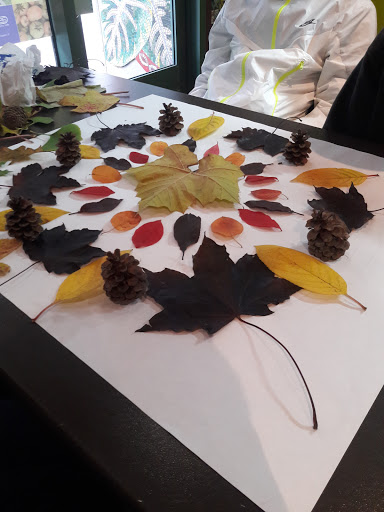 Gift Shop «After School Matters Gift Shop», reviews and photos, 66 E Randolph St, Chicago, IL 60601, USA