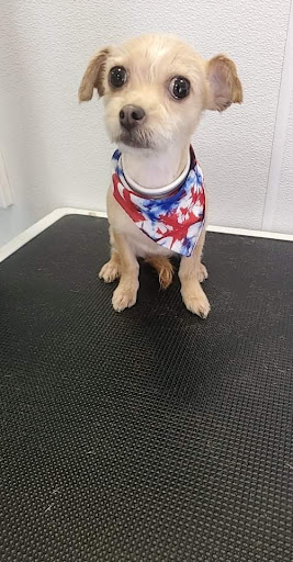 26292 Delaware Rd, Franklin, VA 23851, USA