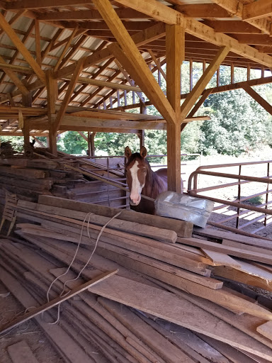 Event Venue «Dixie Dreams Special Events Venue», reviews and photos, 7188 Santa Claus Rd, Monroe, NC 28110, USA