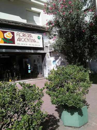 Opiniones de Florería Argentina S.R.L. en Trinidad - Floristería