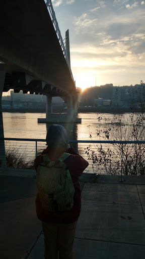 Motor Vehicle Dealer «SK Northwest», reviews and photos, 250 SE Division Pl, Portland, OR 97202, USA