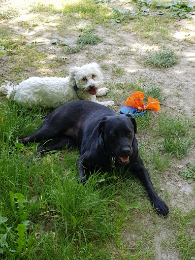 Veterinary practice Anton Rogg unter Lauchringen, Baden Württemberg
