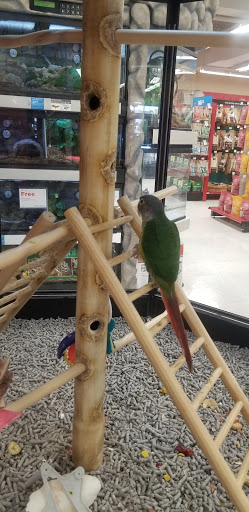 Pet Supply Store «Petco Animal Supplies», reviews and photos, 4915 E 41st St C, Tulsa, OK 74135, USA