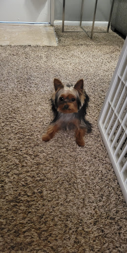 Pet Supply Store «Petco Animal Supplies», reviews and photos, 200 Center Blvd S, Christiana, DE 19702, USA