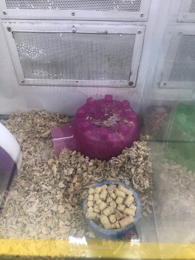 Pet Supply Store «Pet Supplies Plus», reviews and photos, 1856 Hendersonville Rd a, Asheville, NC 28803, USA