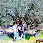 Photo n°1 de l'avis de Domenico.a fait le 11/09/2022 à 08:46 sur le  Agriturismo Caniloro à Lanciano