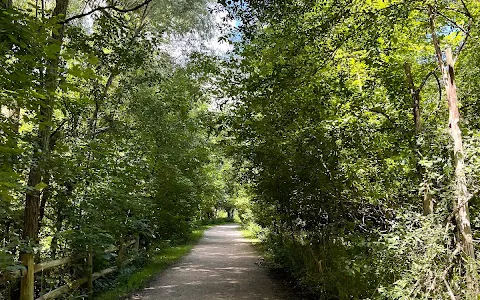 Glendon Forest image