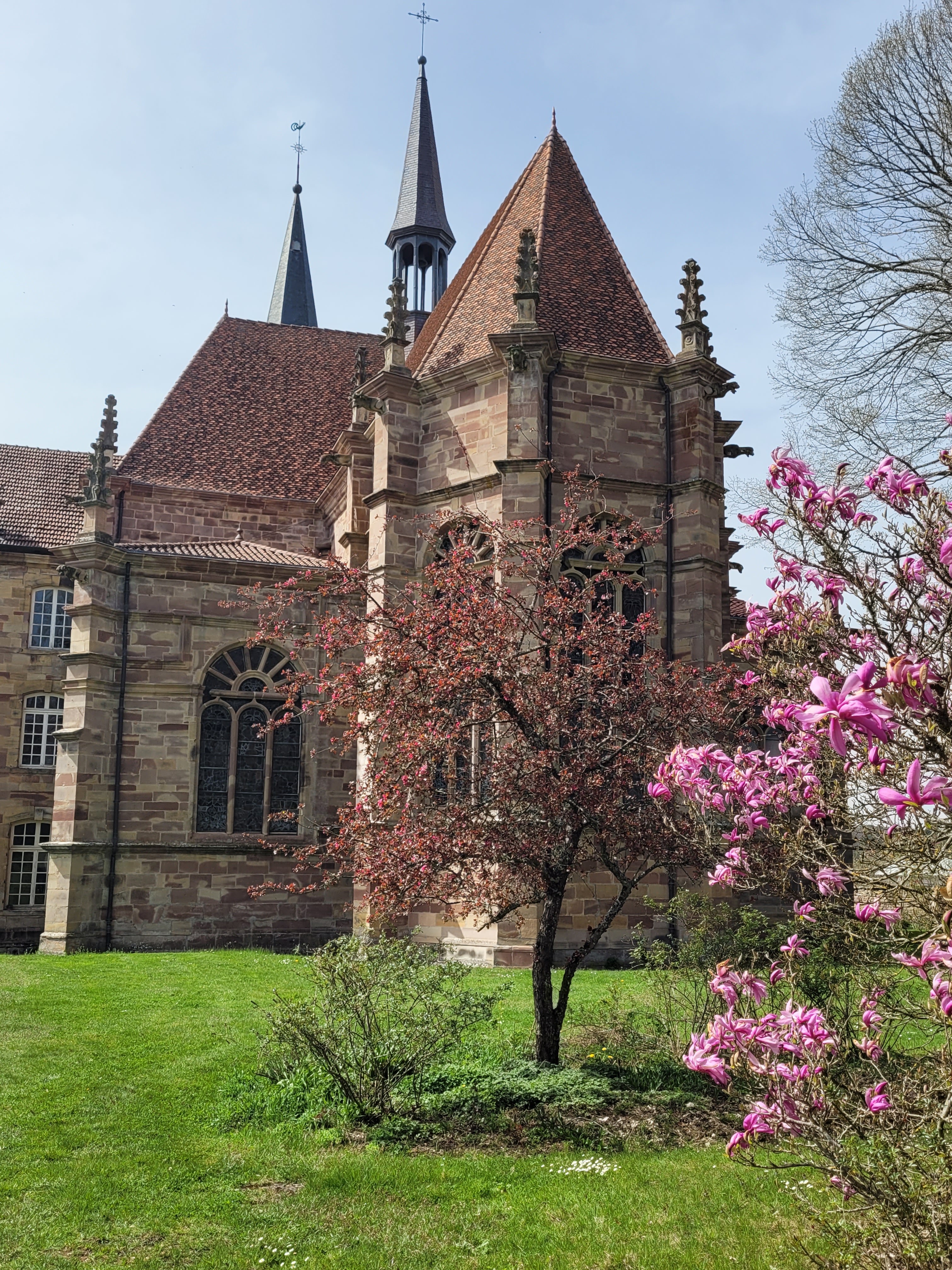Photo n° 1 de l'avis de P. fait le 16/04/2022 à 17:27