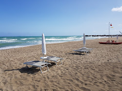 Spiaggia di Marina di Lesina'in fotoğrafı ve yerleşim