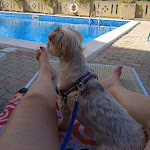 Photo n°1 de l'avis de Leonella.a fait le 16/07/2023 à 16:54 sur le  Hotel la Darsena à Passignano sul Trasimeno