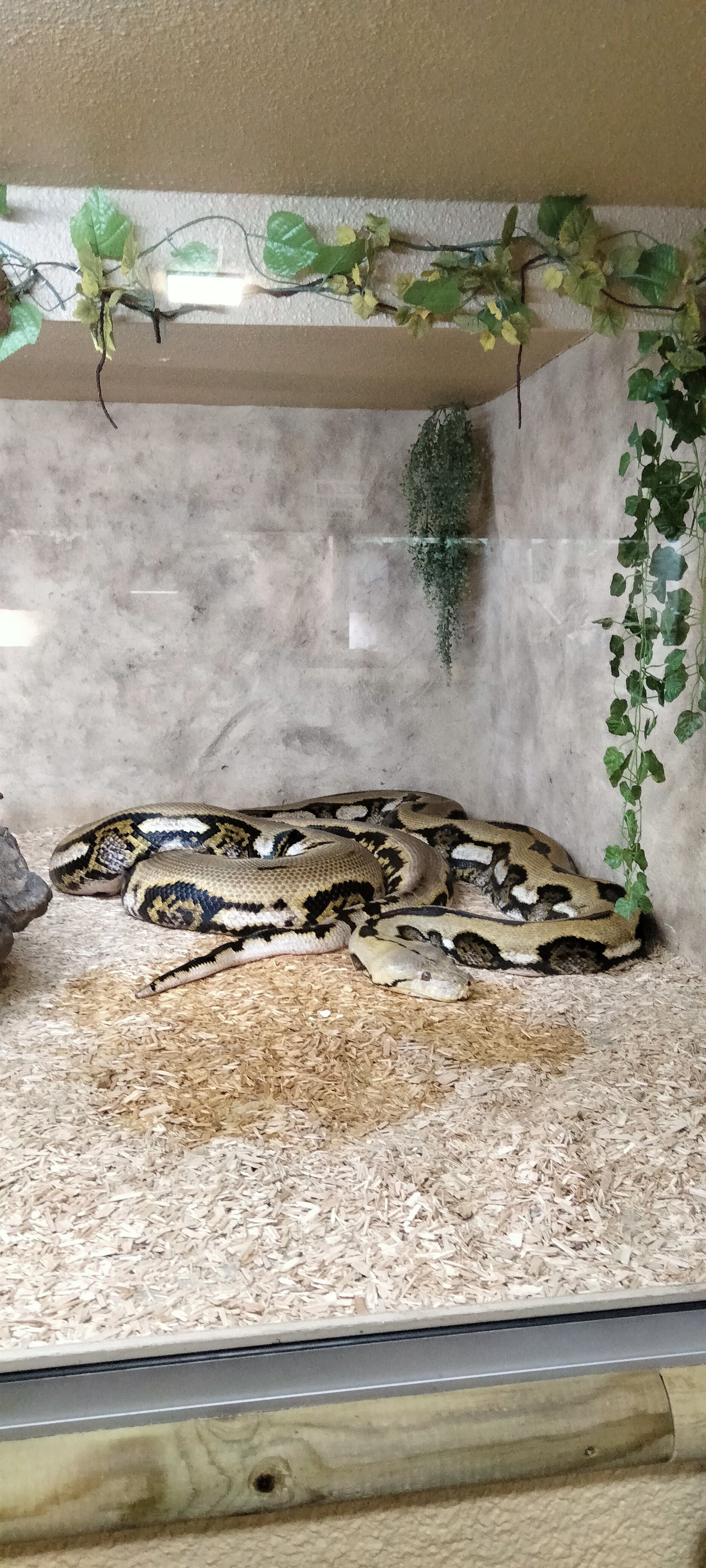 Photo n° 1 de l'avis de Dany.u fait le 19/03/2023 à 19:21