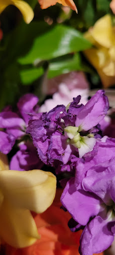 Florist «Flowers Just-4-U Florals-Gifts», reviews and photos, 2216 S Jackson St, Seattle, WA 98144, USA