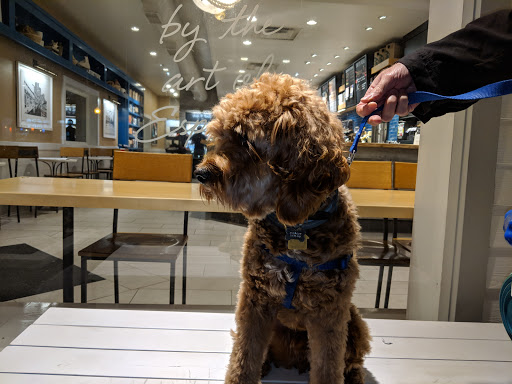 Coffee Shop «Starbucks», reviews and photos, 29 NY-27A, Southampton, NY 11968, USA