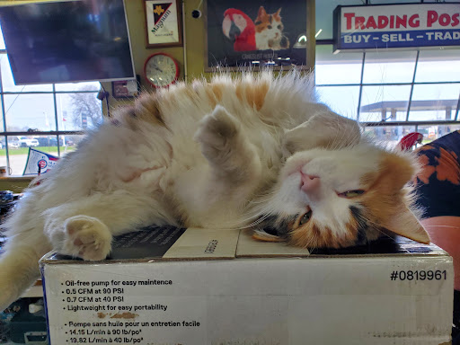 Pawn Shop «Trading Post Corporation», reviews and photos, 7100 Teckler Blvd, Crystal Lake, IL 60014, USA