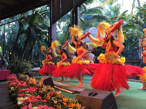 Travel Agency «Hawaiian Travel», reviews and photos, 5005 W Royal Ln #294, Irving, TX 75063, USA