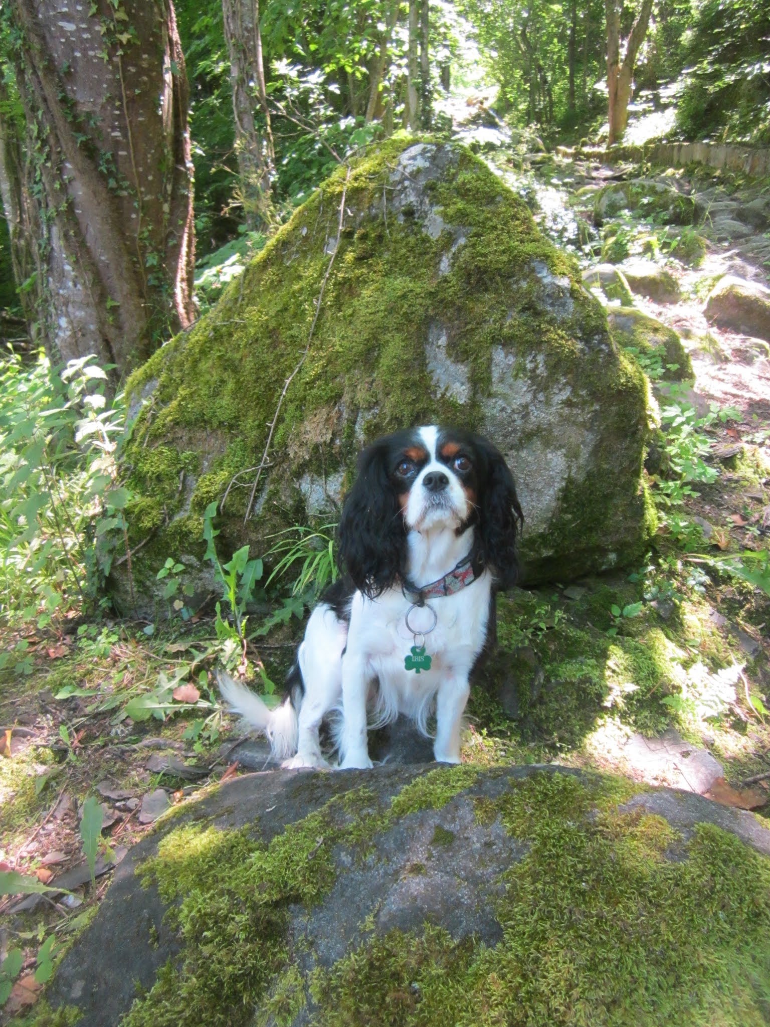 Photo n° 5 de l'avis de Jessy.A fait le 29/06/2020 à 08:54
