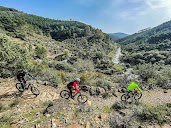 Bikes At Forest. Tours y alquiler de bicicletas en Horcajo
