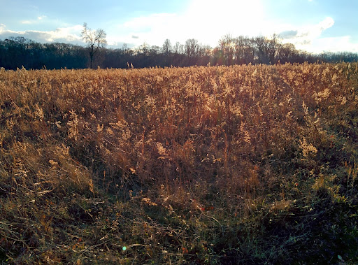 Park «Caumsett State Park», reviews and photos, 25 Lloyd Harbor Rd, Lloyd Harbor, NY 11743, USA