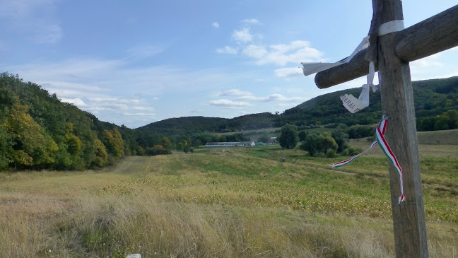 Csákányospusztai templomrom - Utazási iroda