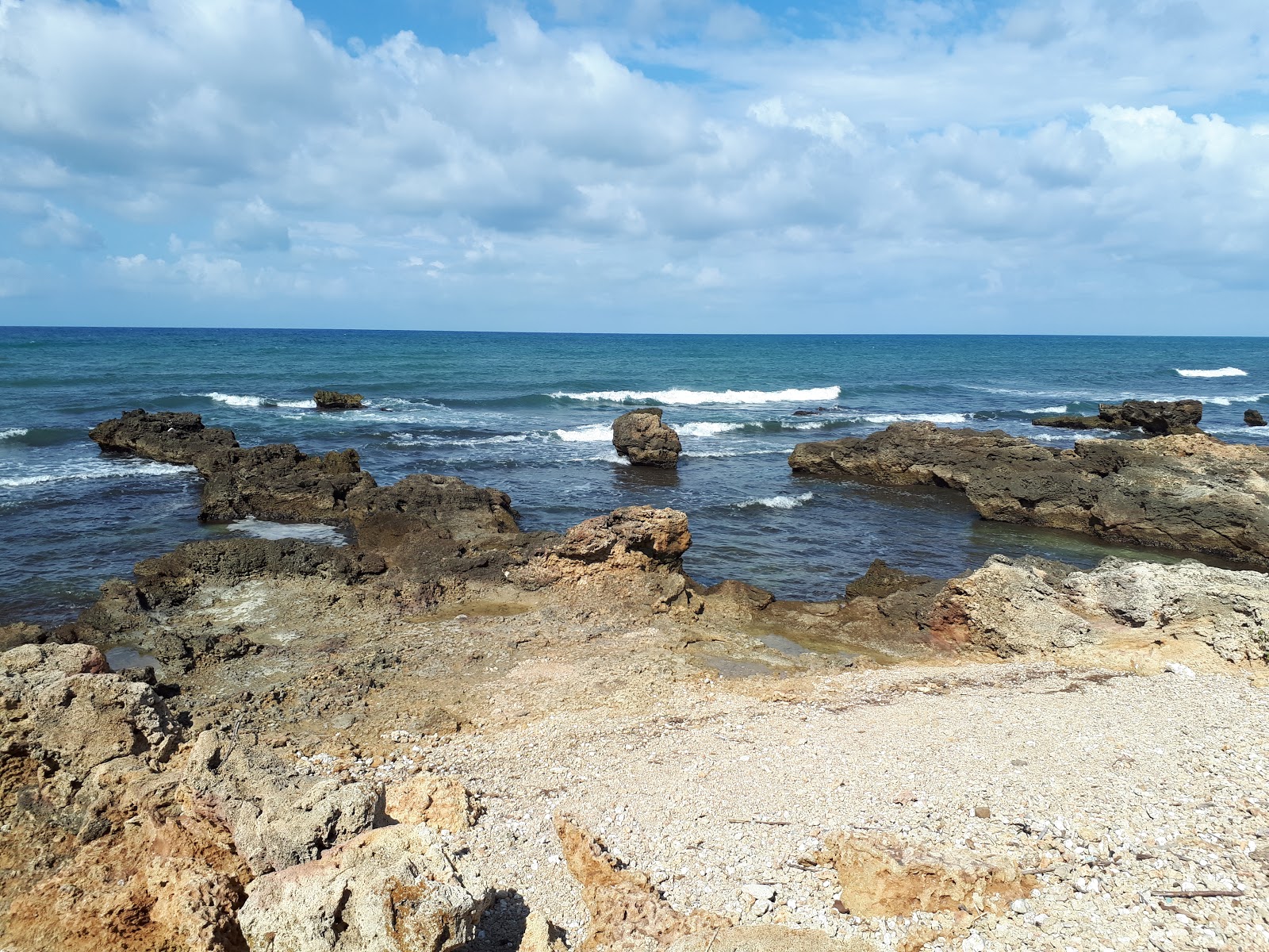 Tsunami Beach photo #8
