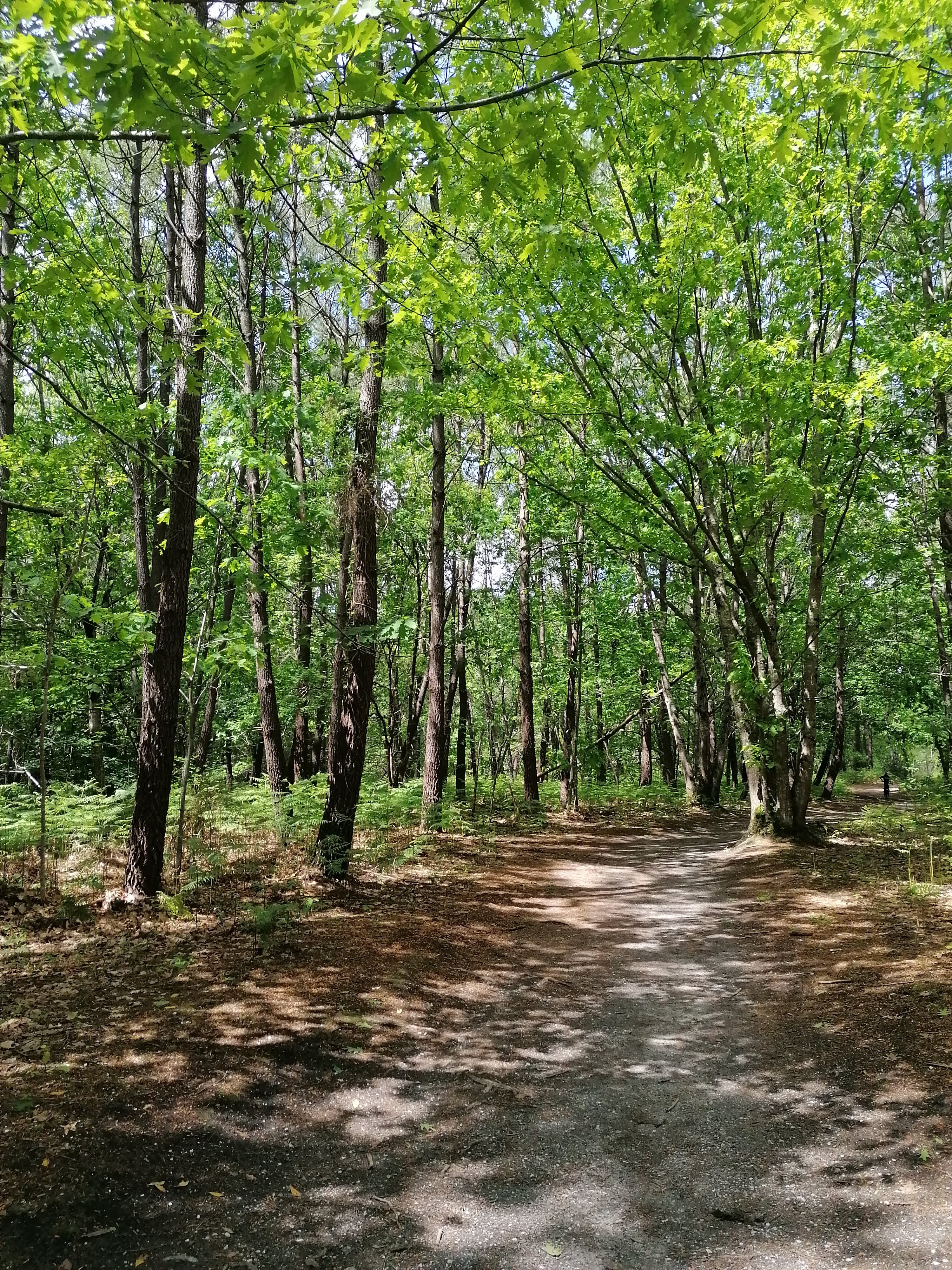 Photo n° 2 de l'avis de Agnes.i fait le 15/05/2021 à 13:16