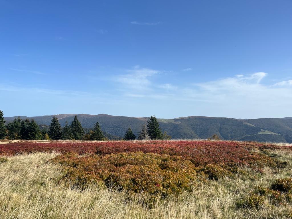 Photo n° 1 de l'avis de Philippe.e fait le 08/10/2023 à 13:10