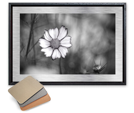 Commercial Printer «The Color Group», reviews and photos, 1741 4th Ave S B, Seattle, WA 98134, USA