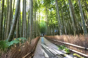 Hokokuji Temple image