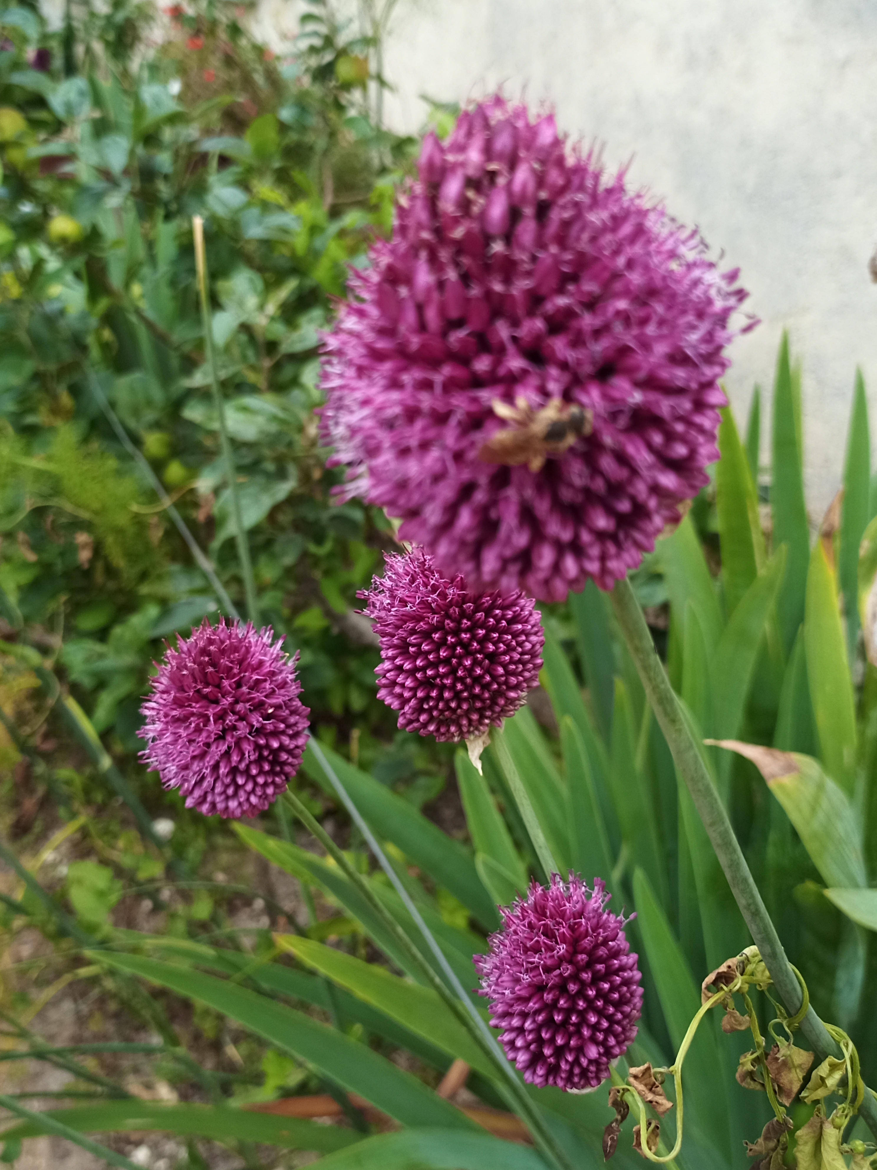 Photo n° 1 de l'avis de Maria.e fait le 09/07/2021 à 14:37