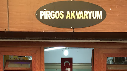 Pirgos Akvaryum