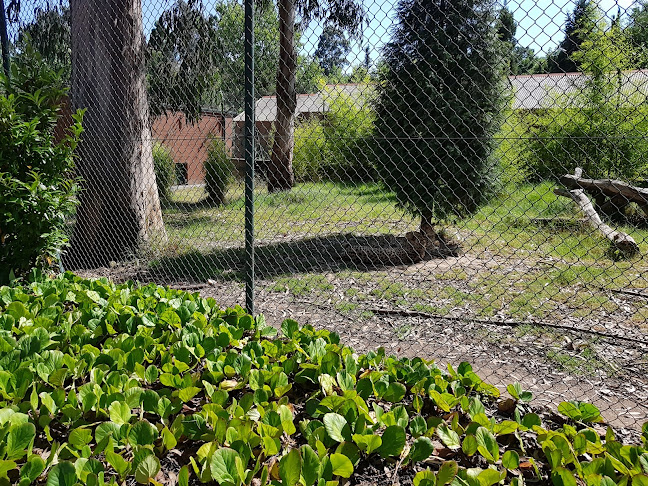 Comentários e avaliações sobre o Restaurante "Quinta da Lomba"