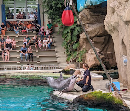 Delfinarium Zoo Duisburg photo