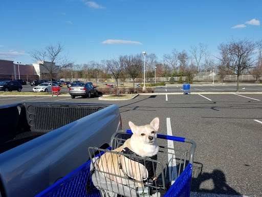 Pet Supply Store «PetSmart», reviews and photos, 467 Cross Keys Rd, Sicklerville, NJ 08081, USA