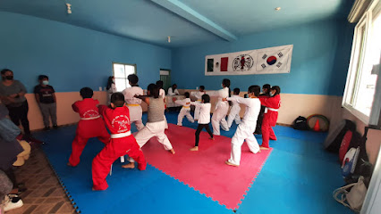Club de Taekwondo Bonilla