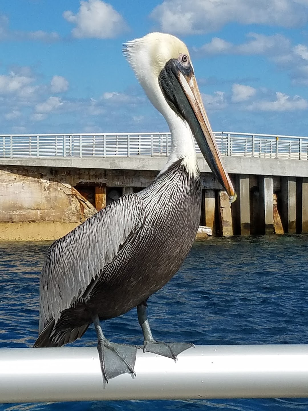 Ocean Inlet Park