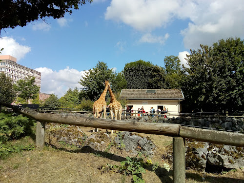 attractions Zoo de Maubeuge Maubeuge