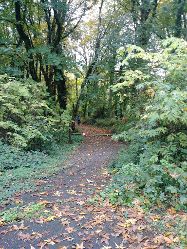 Bicycle Store «Barlow Bikes and boards», reviews and photos, 315 S Columbia River Hwy, St Helens, OR 97051, USA