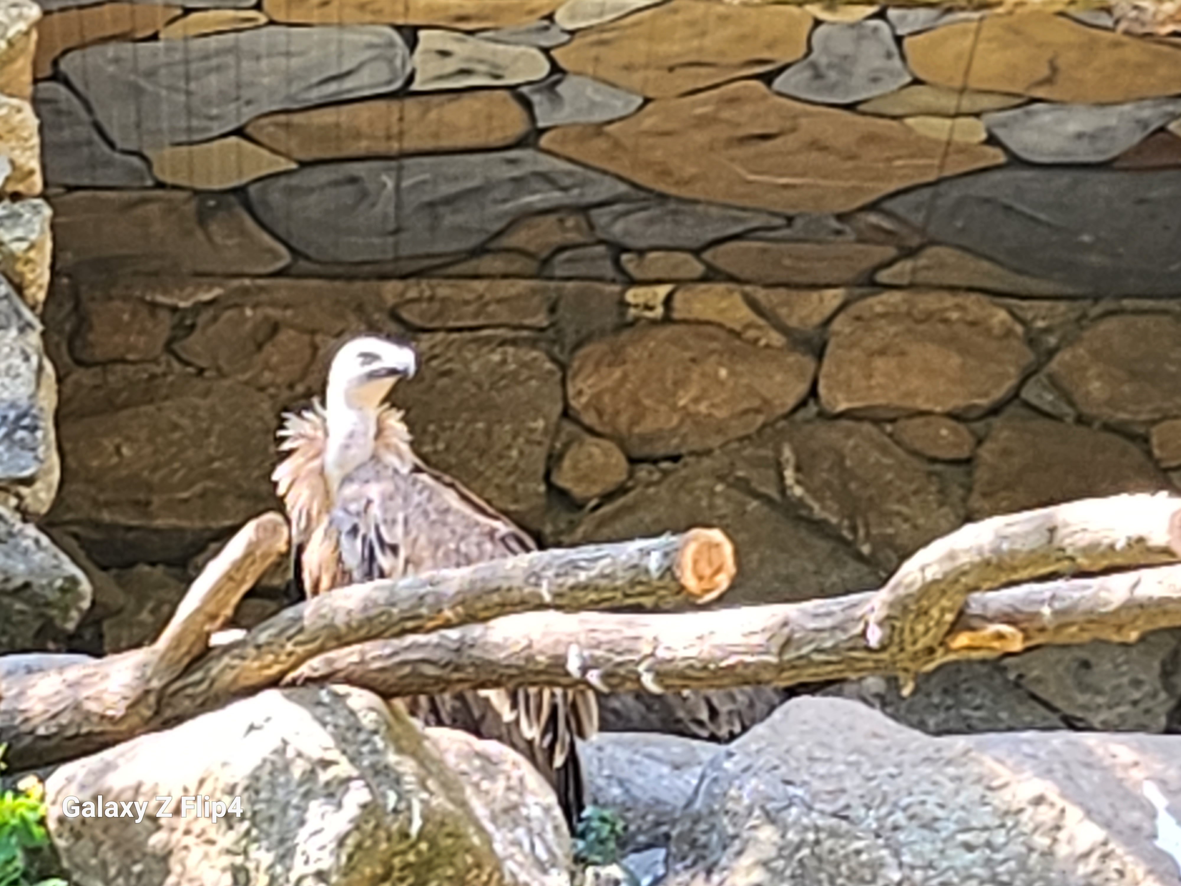 Photo n° 15 de l'avis de pascal.h fait le 02/05/2023 à 19:13