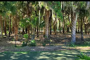 Florida Vegetation Control image