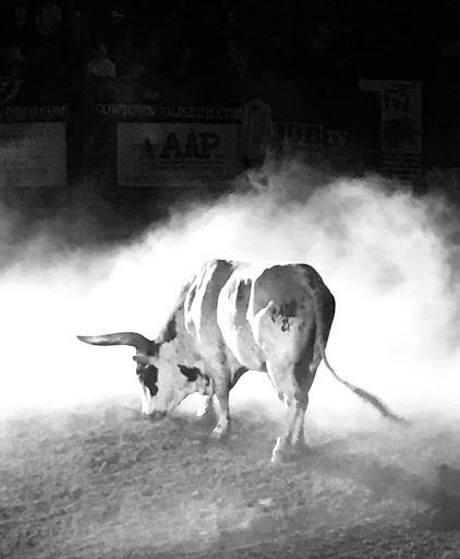 Tourist Attraction «Stockyards Championship Rodeo», reviews and photos, 121 E Exchange Ave, Fort Worth, TX 76164, USA