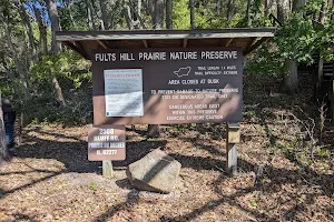 Fults Hill Prairie Nature Preserve image