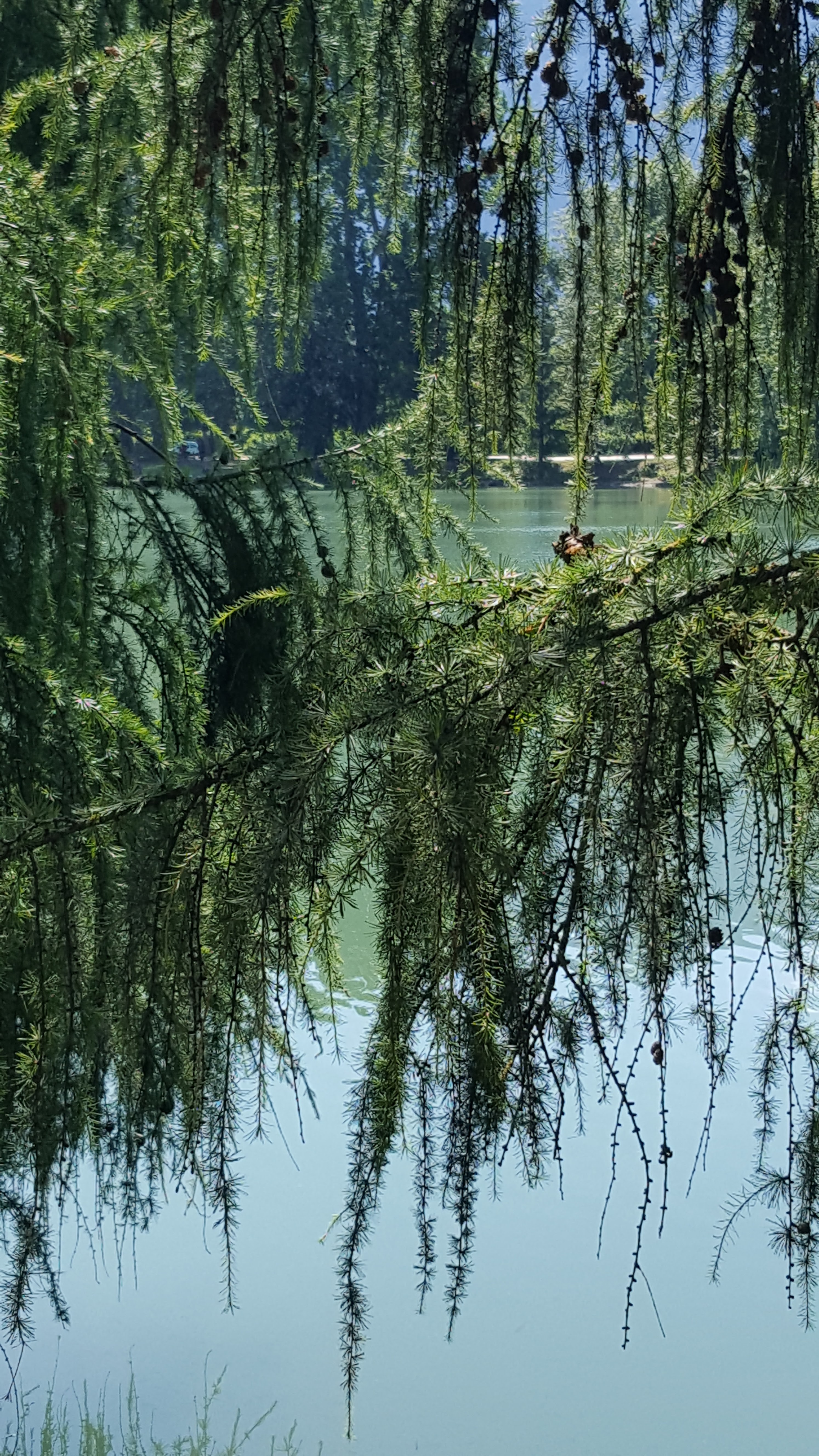 Photo n° 1 de l'avis de Claire. fait le 08/08/2019 à 07:22