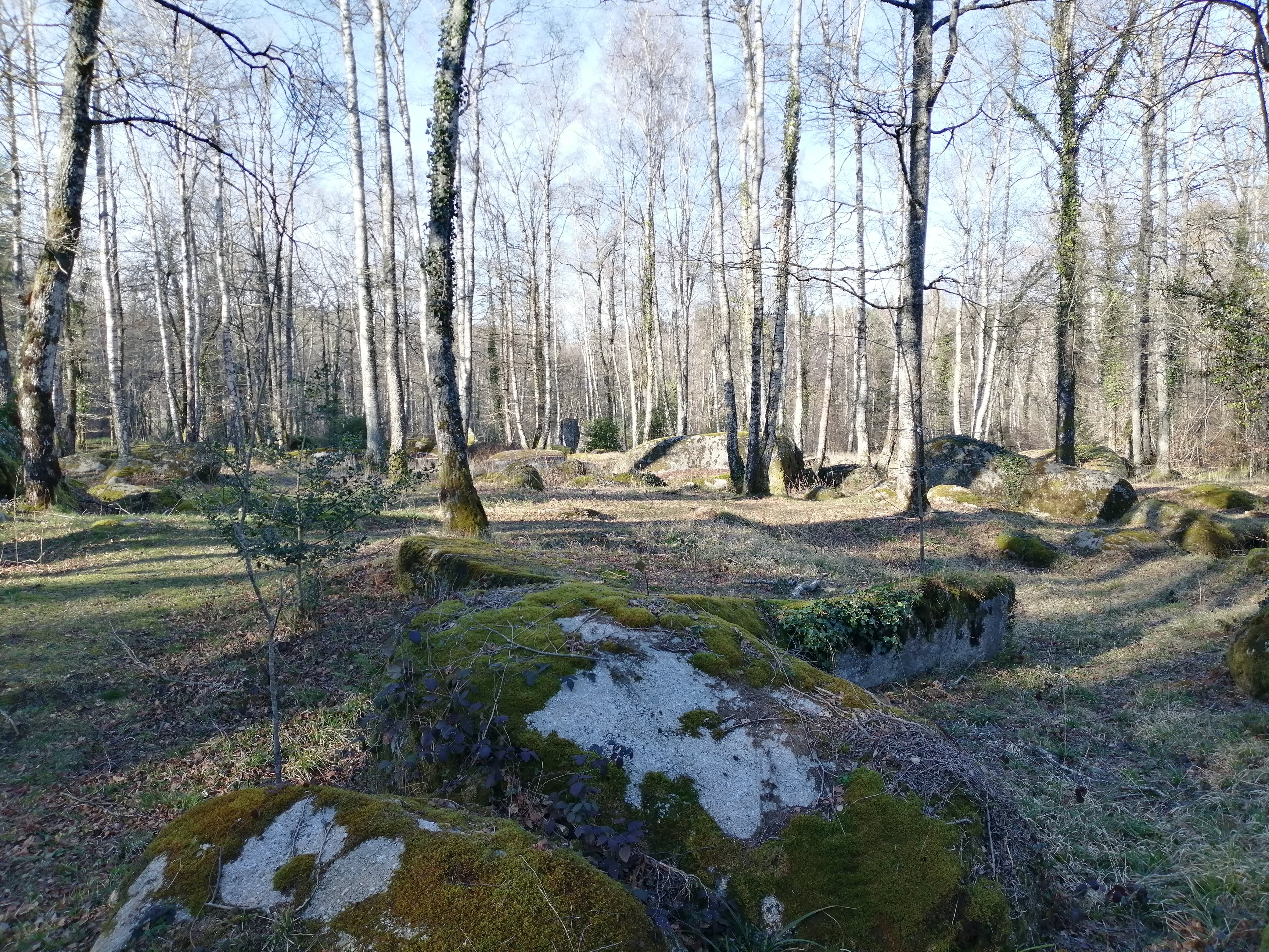 Photo n° 9 de l'avis de Palluy.a fait le 17/02/2020 à 22:01