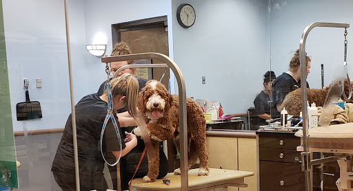 Pet Supply Store «PetSmart», reviews and photos, 261 Spreckels Ave, Manteca, CA 95336, USA