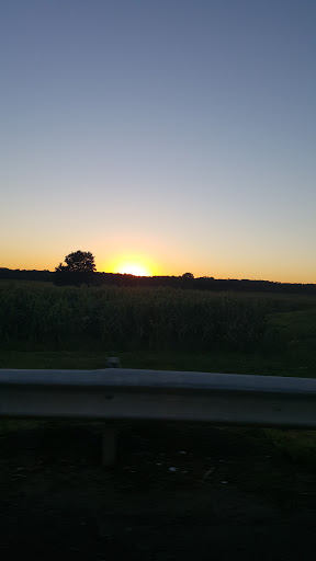 Dollar Store «Dollar Tree», reviews and photos, 135 West Rd, Ellington, CT 06029, USA