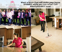 Molly Maid of East Contra Costa and Solano Counties - Car repair in , Antioch - Rated 4.8/5