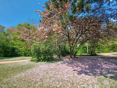 Parc de Cormelles-le-Royal à Cormelles-le-Royal