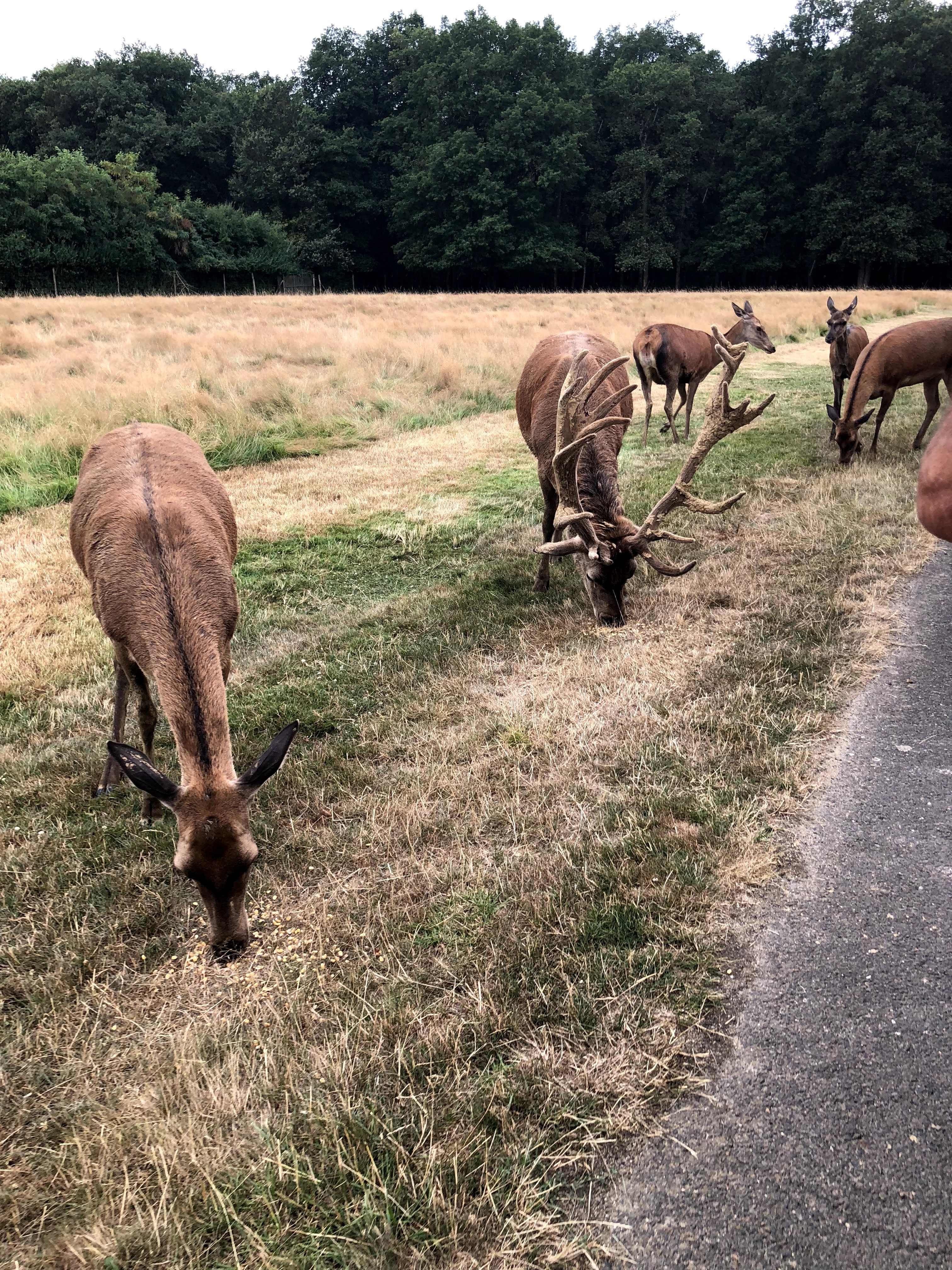 Photo n° 9 de l'avis de Julien.o fait le 27/07/2018 à 17:41
